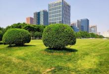 滨海广场11