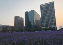 滨海广场24