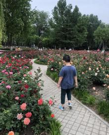 睦南公园5
