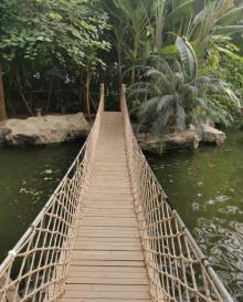 天津热带植物观光园15