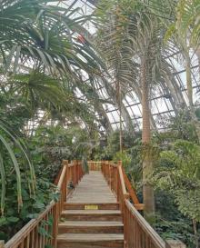 天津热带植物观光园16