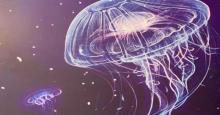 天津独角兽星空艺术馆13