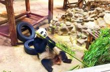 光合谷旅游度假区13
