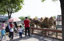 光合谷旅游度假区27