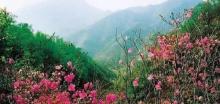 九山顶自然风景区24
