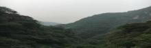 九山顶自然风景区26