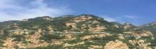 九山顶自然风景区20