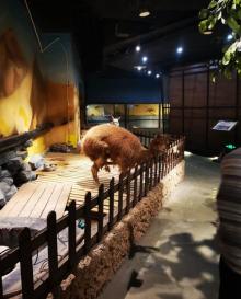 天津zoonly动物主题公园22
