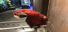 天津zoonly动物主题公园4