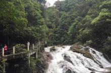 九龙山国家森林公园15