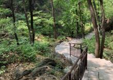 九龙山国家森林公园2