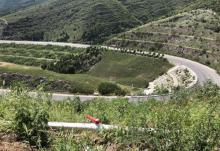 九龙山国家森林公园13