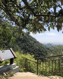 九龙山国家森林公园11