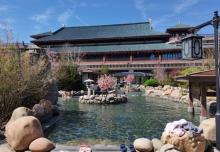 东丽湖恒大酒店温泉中心24