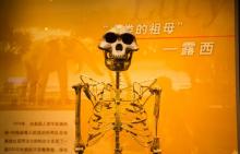 天津自然博物馆11