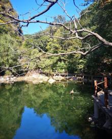 梨木台风景区16