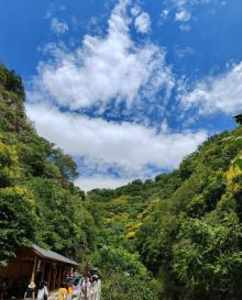 梨木台风景区4