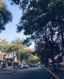 梨木台风景区12