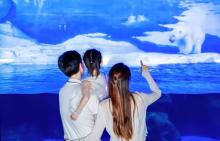 天津海昌极地海洋公园24