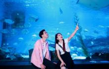 天津海昌极地海洋公园8