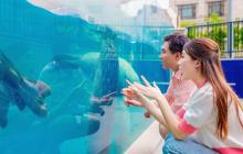 天津海昌极地海洋公园4