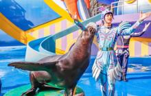 天津海昌极地海洋公园7