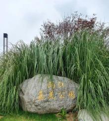 两江嘉美公园2