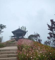 两江嘉美公园1