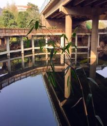 龙滩子水库2