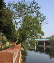 龙滩子水库3