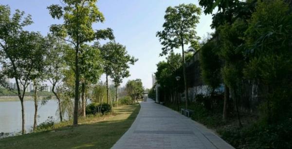 红楼滩公园