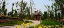 登云公园2