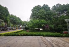踏水公园6