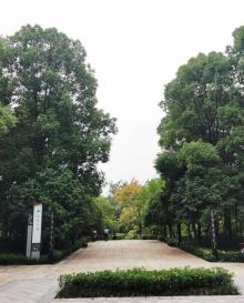 踏水公园4