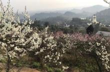 石鱼花果山2