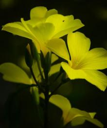 上天池度假村1
