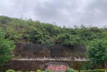 简弯公园1