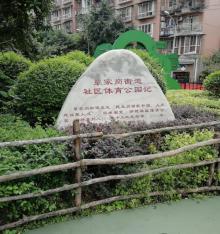 覃家岗街道社区体育公园1