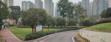 市政规划公园2