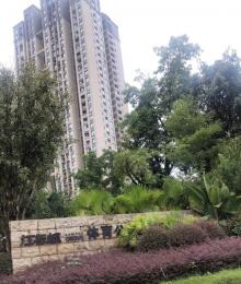 江与城体育公园3