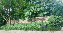 江与城体育公园1