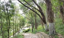 箭滩河亲水公园2