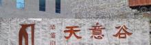 天意谷3