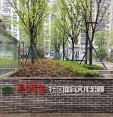 巴将军社区体育文化公园6