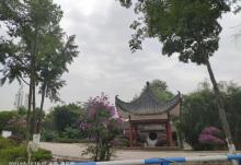 义渡公园8