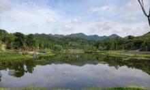 飞马李子坡公园3