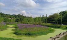 飞马李子坡公园2