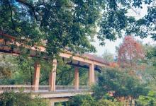 龙凤溪公园2