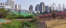 康庄美地社区公园1