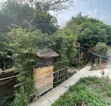 重庆结庐山野嗨KING营地5